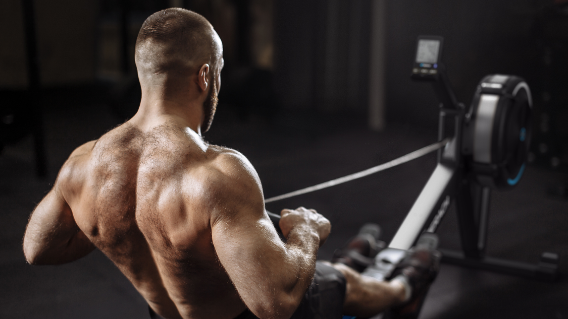 how to use a rowing machine for back fat