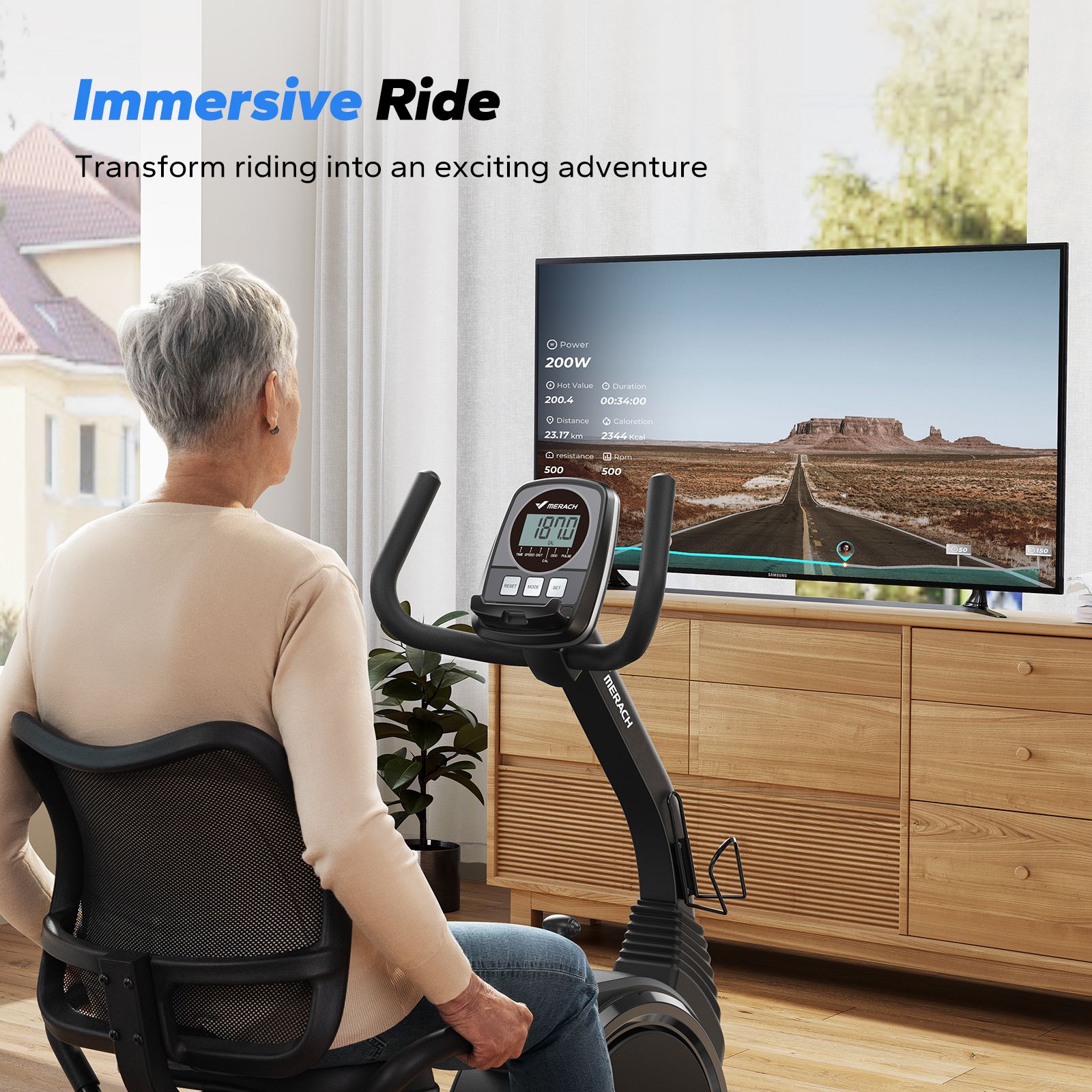 S19 Recumbent Exercise Bike for Home