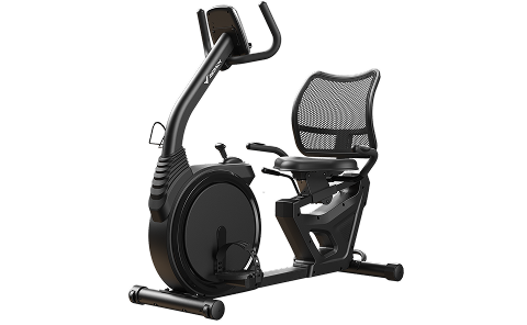 S19 Pro Recumbent Exercise Bike