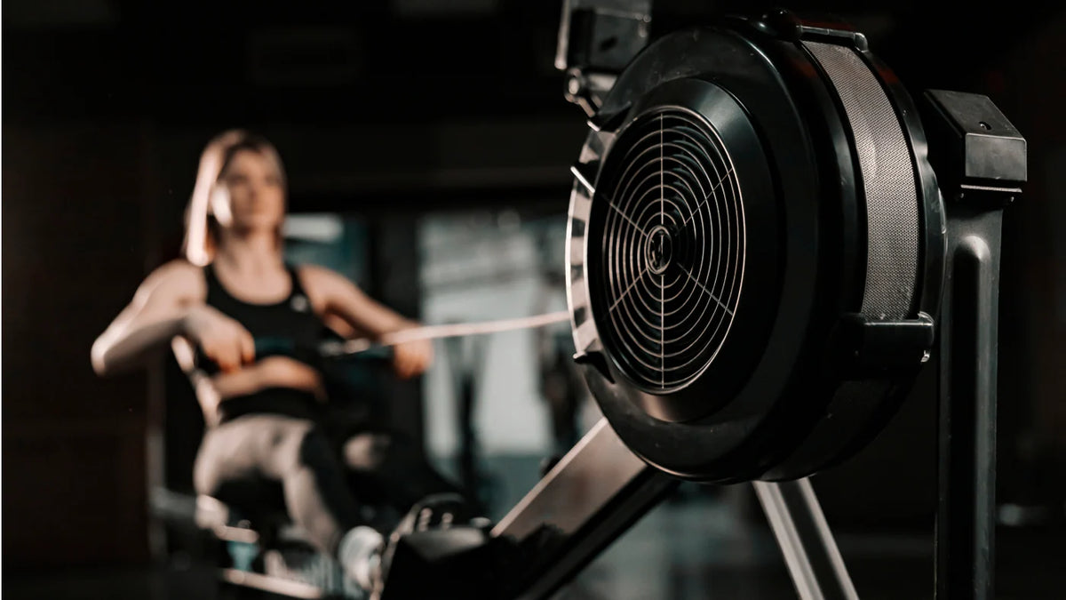 Skyline R50 Rowing Machine R50 Rower Machine Guide