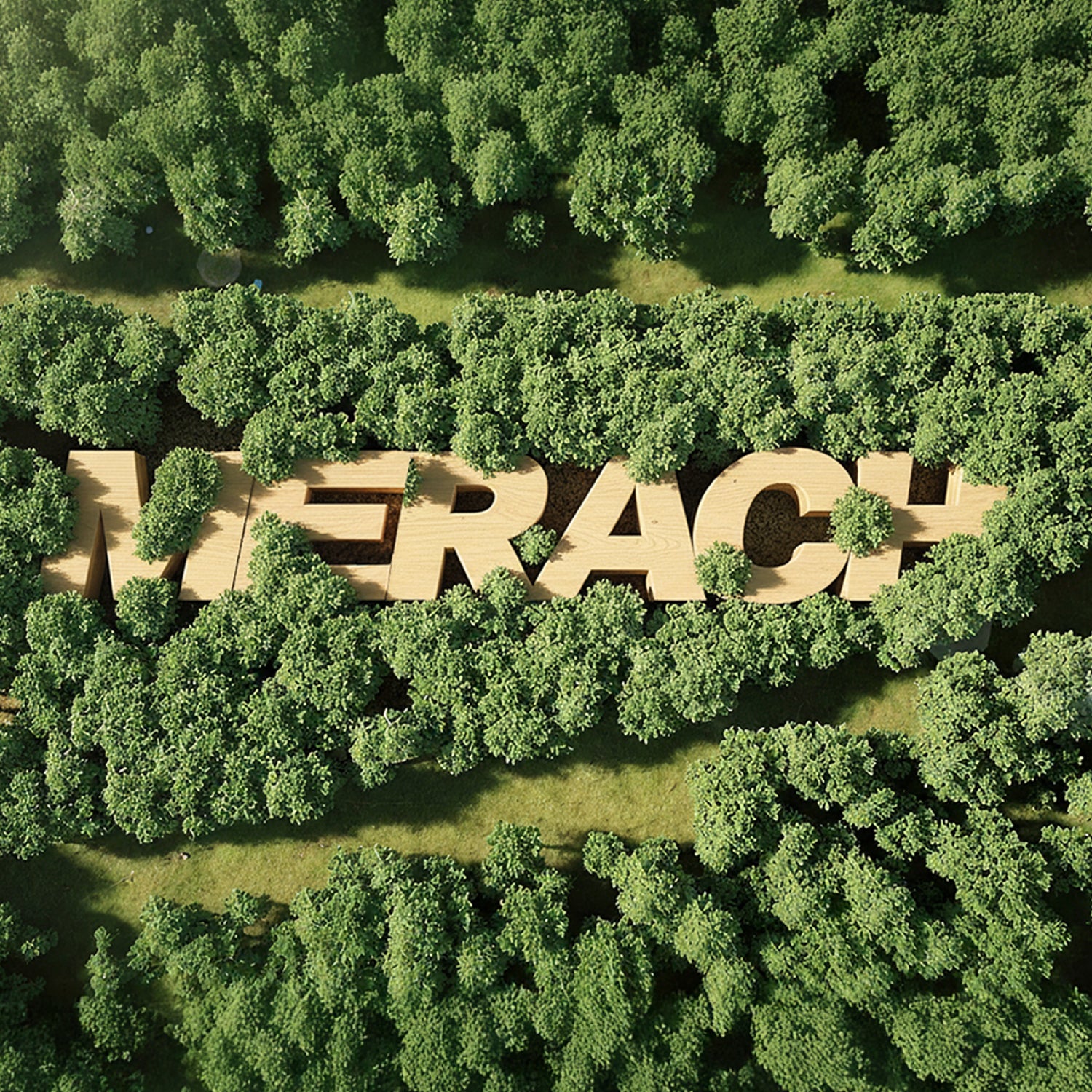 vibration machine for weight loss